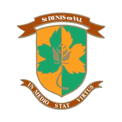 Logo Saint Denis en Val
