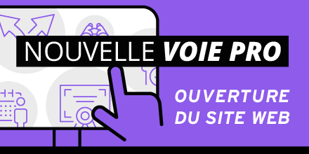 Nouvelle Voie Professionnelle ONISEP