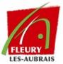 Mairie de Fleury les Aubrais